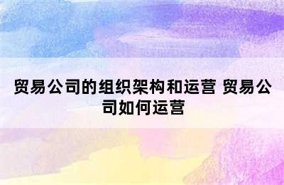 贸易公司的组织架构和运营 贸易公司如何运营